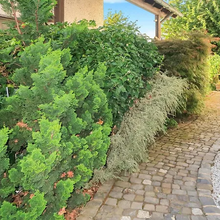 - Stilvolle In Lage Apartamento *